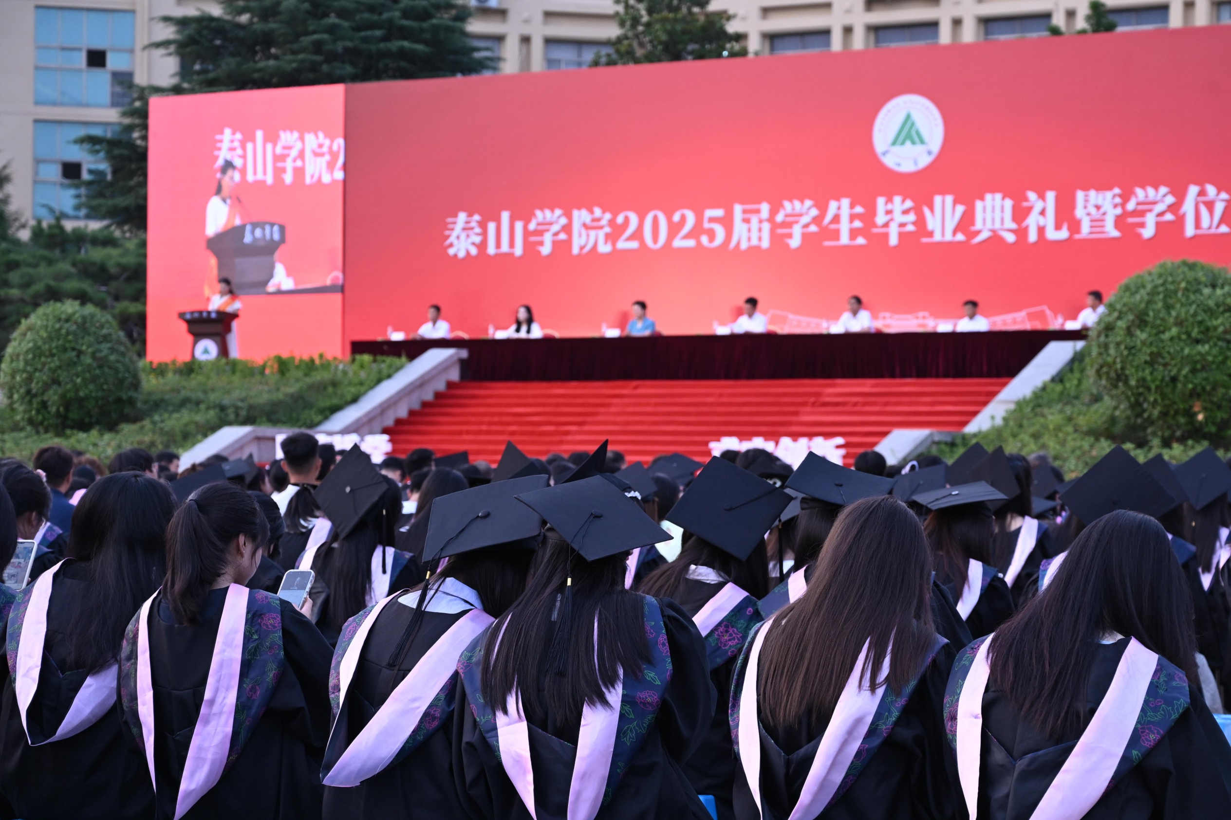 微信图片_20250625093316